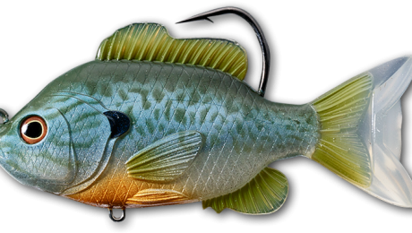 Livetarget Sunfish Swimbait 551